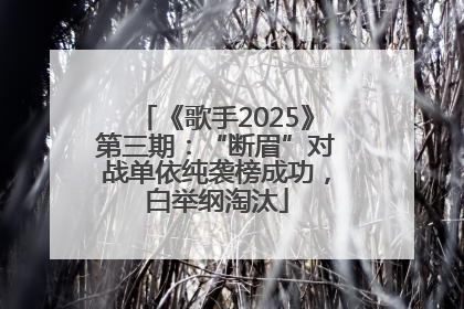 《歌手2025》第三期：“断眉”对战单依纯袭榜成功，白举纲淘汰
