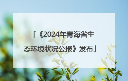 《2024年青海省生态环境状况公报》发布