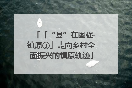 「“县”在图强·镇原③」走向乡村全面振兴的镇原轨迹