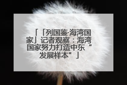 「列国鉴·海湾国家」记者观察：海湾国家努力打造中东“发展样本”