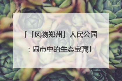 「风物郑州」人民公园：闹市中的生态宝藏