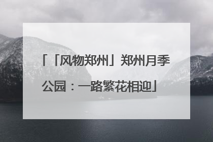 「风物郑州」郑州月季公园：一路繁花相迎