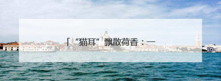 “猫耳”飘散荷香：一座江心岛的生态蜕变