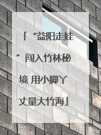 “益阳走娃”闯入竹林秘境 用小脚丫丈量大竹海