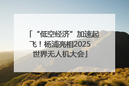 “低空经济”加速起飞！杨浦亮相2025世界无人机大会