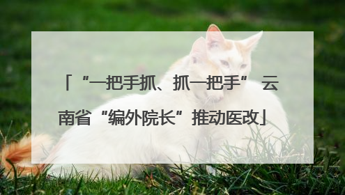 “一把手抓、抓一把手” 云南省“编外院长”推动医改