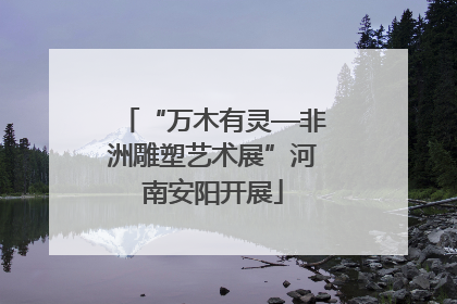 “万木有灵—非洲雕塑艺术展”河南安阳开展