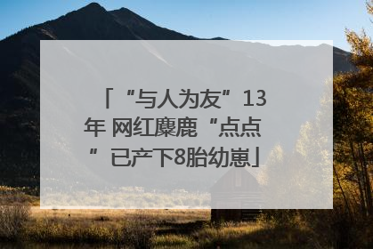 “与人为友”13年 网红麋鹿“点点”已产下8胎幼崽