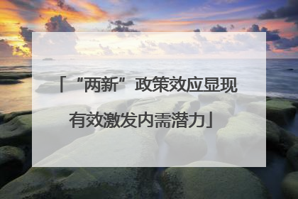 “两新”政策效应显现 有效激发内需潜力
