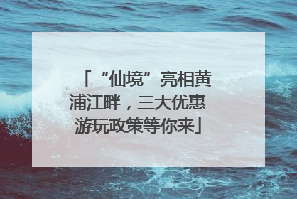 “仙境”亮相黄浦江畔，三大优惠游玩政策等你来