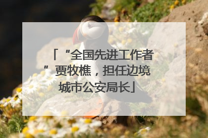 “全国先进工作者”贾牧樵，担任边境城市公安局长
