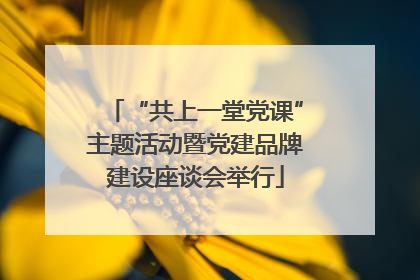 “共上一堂党课”主题活动暨党建品牌建设座谈会举行