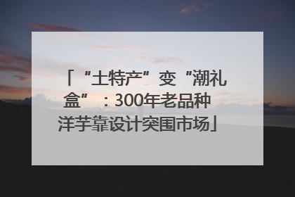 “土特产”变“潮礼盒”：300年老品种洋芋靠设计突围市场