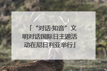 “对话·知音”文明对话国际日主题活动在尼日利亚举行