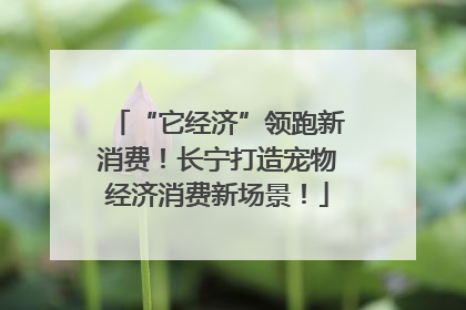 “它经济”领跑新消费！长宁打造宠物经济消费新场景！
