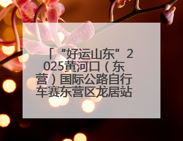 “好运山东”2025黄河口（东营）国际公路自行车赛东营区龙居站 完美“抄作业”，苦战最后时刻黄衫易主
