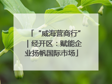 “威海营商行”｜经开区：赋能企业扬帆国际市场