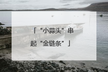 “小蒜头”串起“金链条”