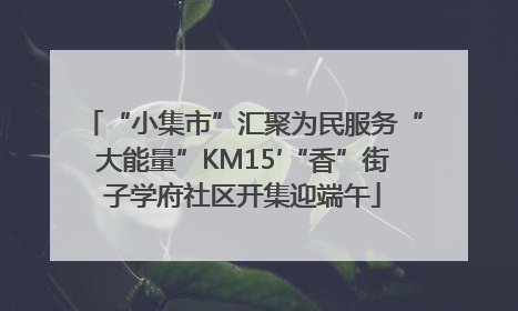 “小集市”汇聚为民服务“大能量”KM15′“香”街子学府社区开集迎端午