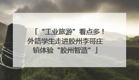 “工业旅游”看点多！外籍学生走进胶州李哥庄镇体验“胶州智造”