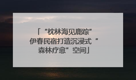 “枕林海见鹿踪” 伊春民宿打造沉浸式“森林疗愈”空间