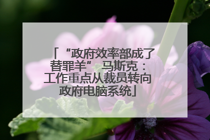 “政府效率部成了替罪羊” 马斯克：工作重点从裁员转向政府电脑系统