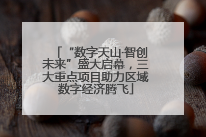 “数字天山·智创未来”盛大启幕，三大重点项目助力区域数字经济腾飞