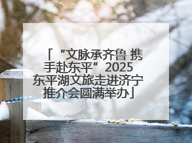 “文脉承齐鲁 携手赴东平”2025东平湖文旅走进济宁推介会圆满举办