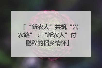 “新农人”共筑“兴农路”：“新农人”付鹏程的稻乡情怀