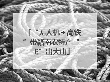 “无人机＋高铁”带赣南农特产“飞”出大山