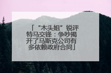 “木头姐”锐评特马交锋：争吵揭开了马斯克公司有多依赖政府合同