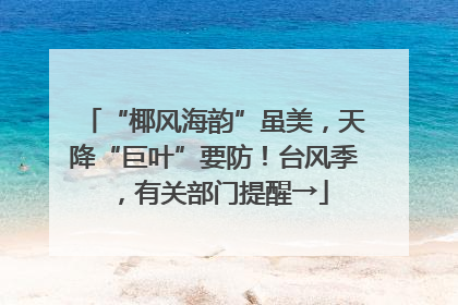 “椰风海韵”虽美，天降“巨叶”要防！台风季，有关部门提醒→