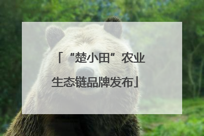 “楚小田”农业生态链品牌发布