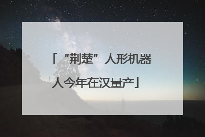 “荆楚”人形机器人今年在汉量产