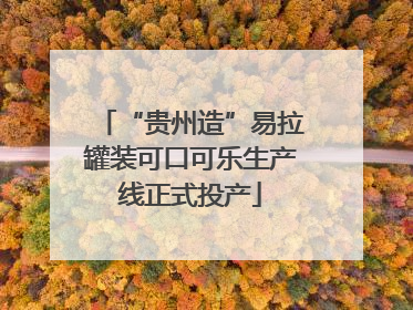 “贵州造”易拉罐装可口可乐生产线正式投产