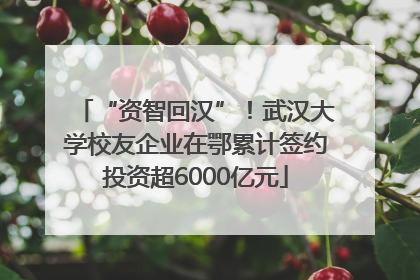 “资智回汉”！武汉大学校友企业在鄂累计签约投资超6000亿元
