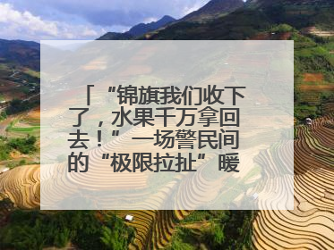“锦旗我们收下了，水果千万拿回去！”一场警民间的“极限拉扯”暖了整个城