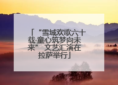 “雪域欢歌六十载·童心筑梦向未来” 文艺汇演在拉萨举行