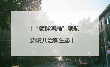 “领群鸿雁”领航边境共治新生态