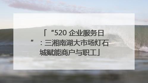 “520 企业服务日”：三湘南湖大市场灯石城赋能商户与职工