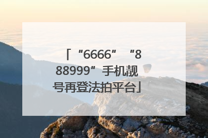 “6666”“888999”手机靓号再登法拍平台