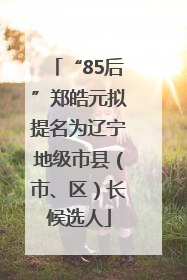 “85后”郑皓元拟提名为辽宁地级市县（市、区）长候选人