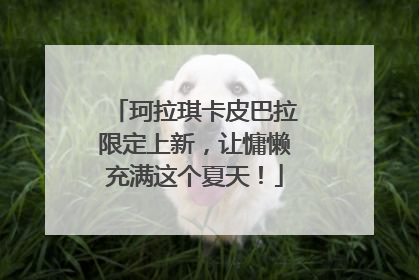 珂拉琪卡皮巴拉限定上新，让慵懒充满这个夏天！