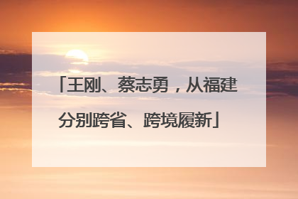 王刚、蔡志勇，从福建分别跨省、跨境履新
