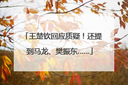 王楚钦回应质疑！还提到马龙、樊振东……
