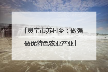 灵宝市苏村乡：做强做优特色农业产业