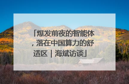 爆发前夜的智能体，落在中国算力的舒适区｜海斌访谈