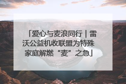 爱心与麦浪同行｜雷沃公益机收联盟为特殊家庭解燃“麦”之急
