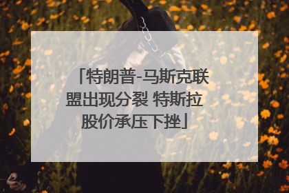 特朗普-马斯克联盟出现分裂 特斯拉股价承压下挫