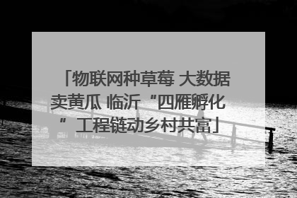 物联网种草莓 大数据卖黄瓜 临沂“四雁孵化”工程链动乡村共富